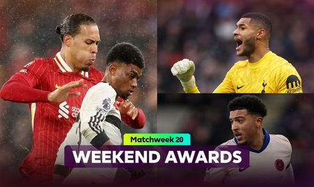 球迷的支持 球迷的支持